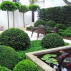 Atriumgarten im Bauhausstil, Christian Grote gründesign
