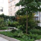 Eibenkugeln-Hortensien,-Farne-und-immergrüne-Stauden Planung Christian Grote Landschaftsarchitekt gründesign