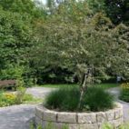 Sinnesgarten Caritas Altenheim St.-Rita, Außenplanung von Christian Grote gründesign