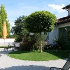 08-Kugelakazie,-Rundbank-und-Gartenhaus Caritas Werkstatt Dachau , Planung Christian Grote Landschaftsarchitekt gründesign