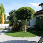 08-Kugelakazie,-Rundbank-und-Gartenhaus Caritas Werkstatt Dachau , Planung Christian Grote Landschaftsarchitekt gründesign