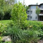 Sinnesgarten Caritas Altenheim St.-Rita, Außenplanung von Christian Grote gründesign