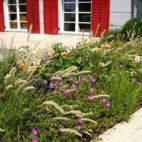Familiengarten Entwurf von gründesign