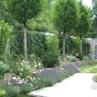 Rose Bonica 82 mit Lavendel Planung Christian Grote Landschaftsarchitekt gründesign
