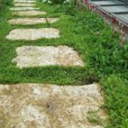 Trittplatten aus Jura im Pflanzenteppich Privatgarten_Bogenhausen Planung Christian Grote Landschaftsarchitekt gründesign