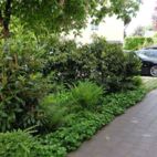 Bepflanzung am Parkplatz, Planung der Außenanlagen gründesign Christian Grote