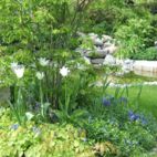 Privatgarten mit Schwung - Entwurf von Christian Grote gründesign