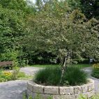 Sinnesgarten Caritas Altenheim St.-Rita, Außenplanung von Christian Grote gründesign